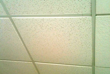 Drop Ceiling
